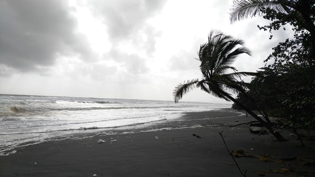 All Rankins Eco-Lodge Tortuguero Exterior foto