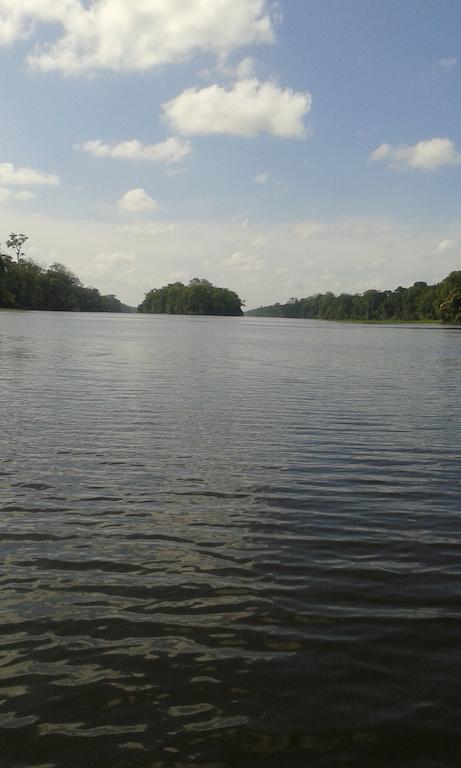 All Rankins Eco-Lodge Tortuguero Exterior foto