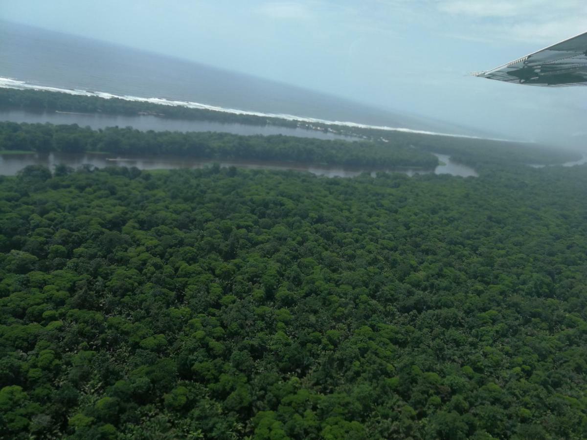 All Rankins Eco-Lodge Tortuguero Exterior foto