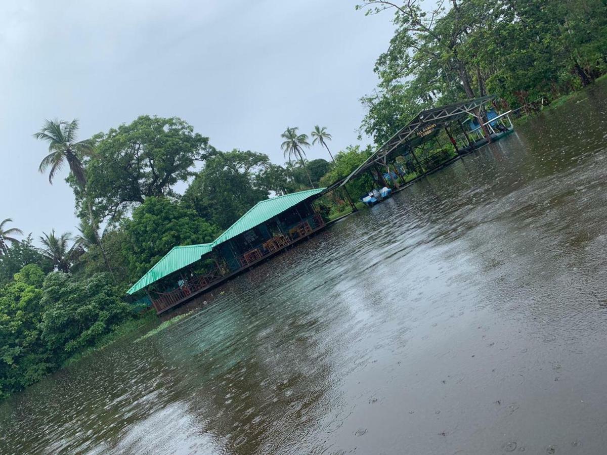 All Rankins Eco-Lodge Tortuguero Exterior foto